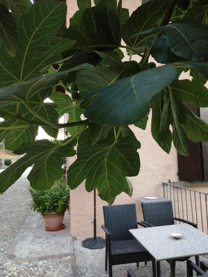 B&B Ronco Degli Ulivi Iseo Exterior photo